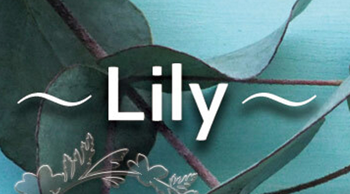 Lily - リリー