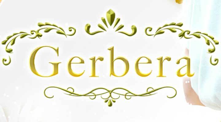 Gerbera - ガーベラ